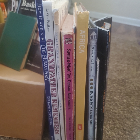 4/$15 Lot of Childrens Books